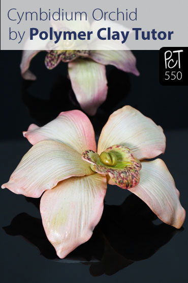 Cymbidium Orchid Vol-75 Vid-550