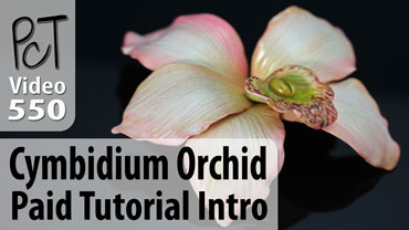 Cymbidium Orchid Vol-75 Vid-550