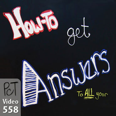 Polymer Clay Questions And Answers Vid-558