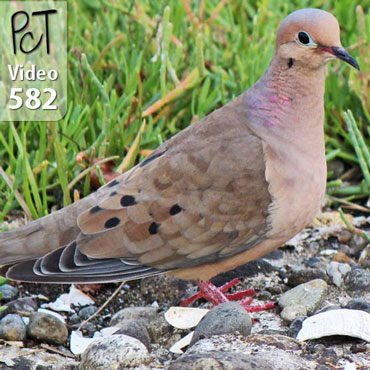 Polymer Inspiration Gig Harbor WA Vid-582