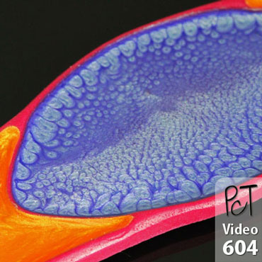 Pebeo Fantasy Paints On Polymer Clay Vid-604