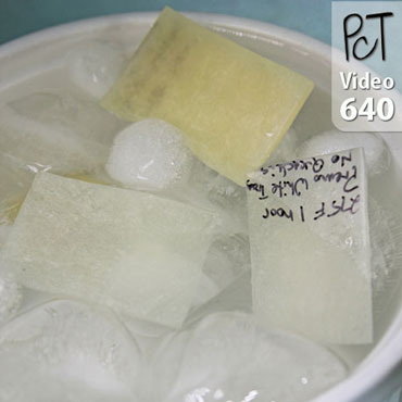 Quenching Polymer Clay A Wives Tale? Vid-640