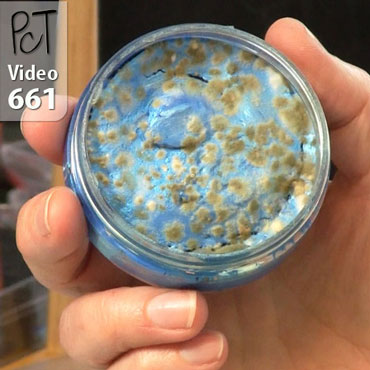 Moldy Inka Gold What To Do? Vid-661