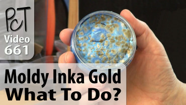 Moldy Inka Gold What To Do? Vid-661