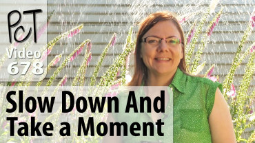 Slow Down And Take A Moment Vid-678