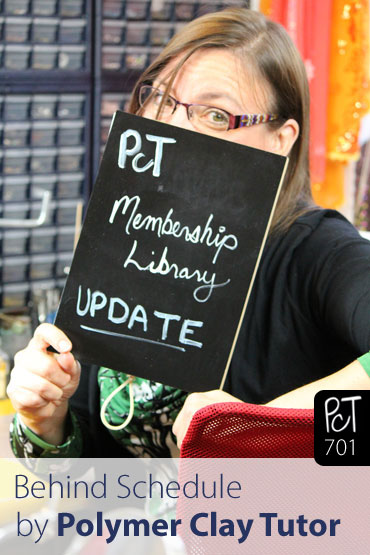 New Membership Site Behind Schedule Vid-701