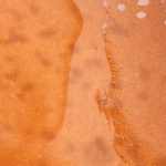 Liquid Polymer Clays Sculpey, Kato, Fimo Vid-708