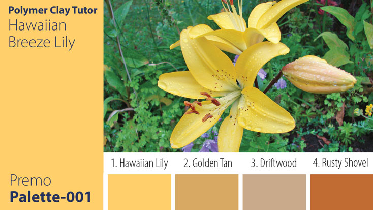 Hawaiian Breeze Lily Palette c-001 Premo