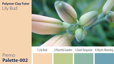 Lily Bud Palette c-002 Premo