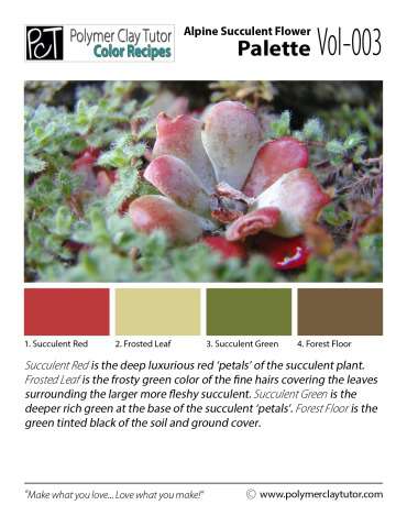 Alpine Succulent Flower Palette c-003 Premo