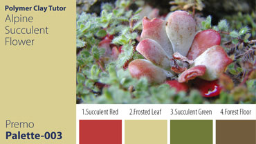 Alpine Succulent Flower Palette c-003 Premo