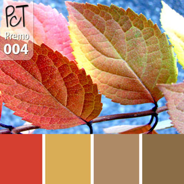 Fall Leaves Color Palette c-004 Premo