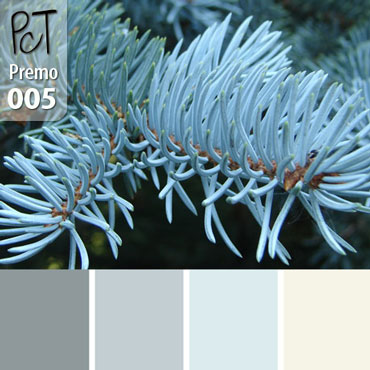 Blue Spruce Palette c-005 Premo