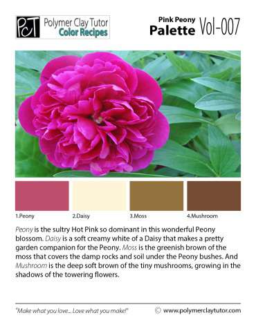 Pink Peony Palette c-007 Premo