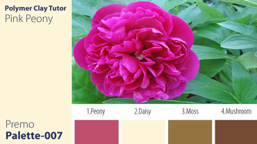 Pink Peony Palette c-007 Premo