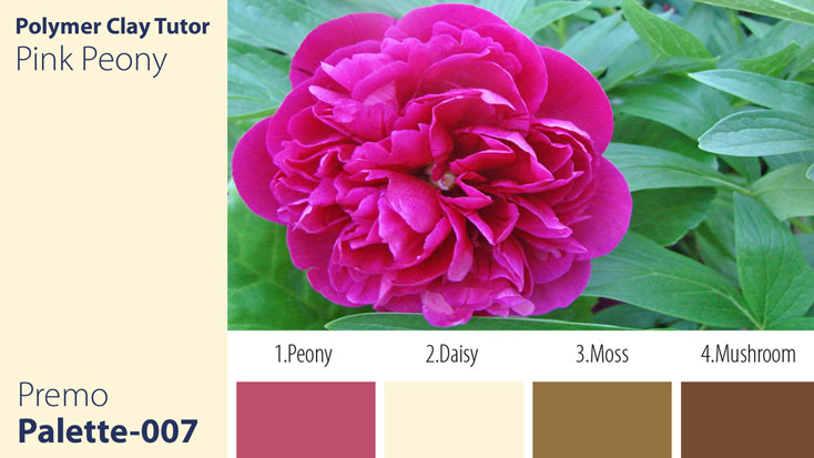 c-007 Pink Peony Palette Premo Pink Peony Palette c-007 Premo