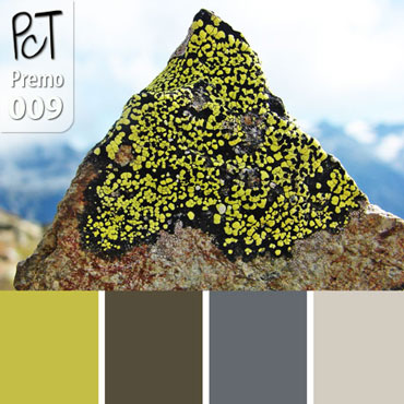Alpine Lichen Palette c-009 Premo