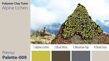 Alpine Lichen Palette c-009 Premo