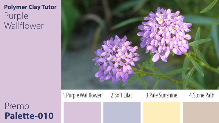 Purple Wallflower Palette c-010 Premo