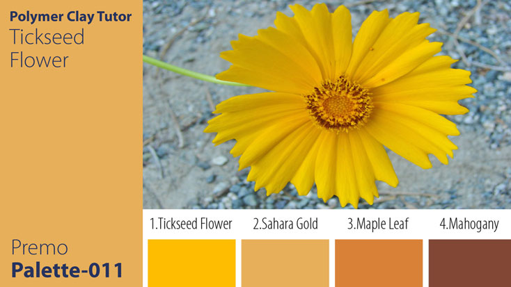Tickseed Flower Palette c-011 Premo