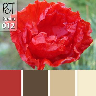 California Poppy Palette c-012 Premo