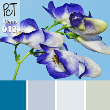 Monkshood Palette c-013 Premo
