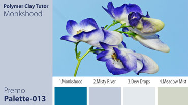 Monkshood Palette c-013 Premo