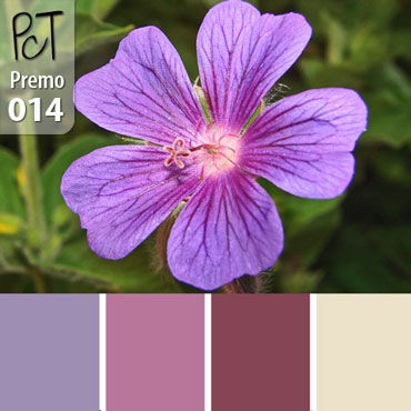 Butterfly Garden Palette c-014 Premo