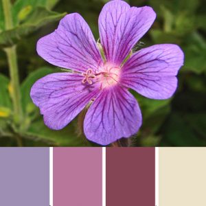 Butterfly Garden Palette c-014 Premo