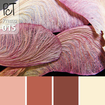 Maple Pods Palette c-015 Premo