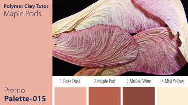 Maple Pods Palette c-015 Premo