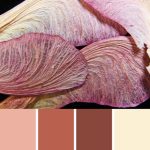 Maple Pods Palette c-015 Premo