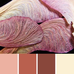 Maple Pods Palette c-015 Premo