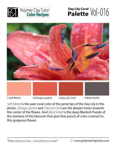 Day Lily Coral Palette c-016 Premo