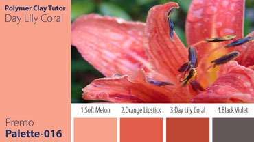 Day Lily Coral Palette c-016 Premo