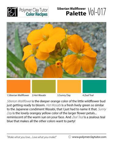 Siberian Wallflower Palette c-017 Premo