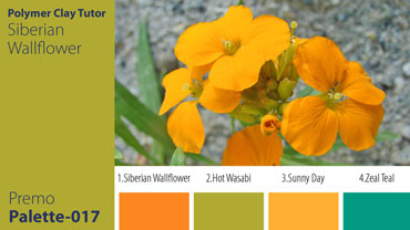 Siberian Wallflower Palette c-017 Premo