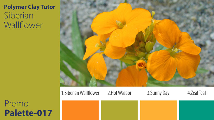 c-017 Siberian Wallflower Palette Premo Siberian Wallflower Palette c-017 Premo