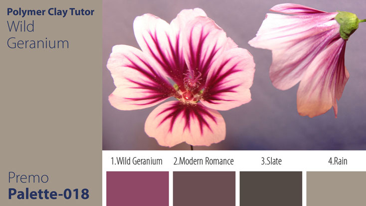 c-018 Wild Geranium Palette c-018 Wild Geranium Palette c-018 Premo