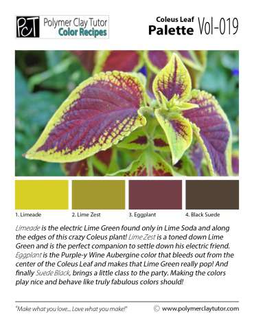 Coleus Leaf Palette c-019 Premo