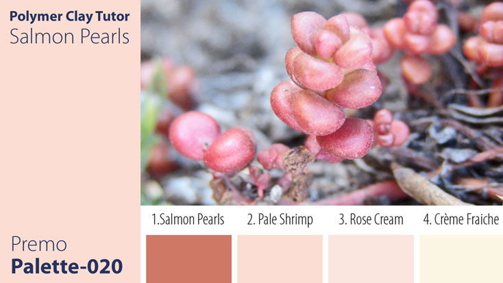 Salmon Pearls Palette c-020 Premo