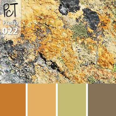 Rocks and Minerals Palette c-022 Premo