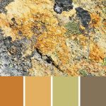 Rocks and Minerals Palette c-022 Premo