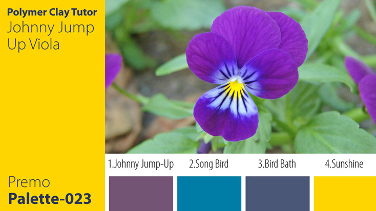 c-023 Johnny Jump-Up Viola Palette Premo Johnny Jump-Up Viola Palette c-023 Premo