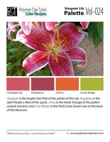 Stargazer Lily Palette c-024 Premo