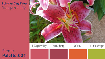 Stargazer Lily Palette c-024 Premo