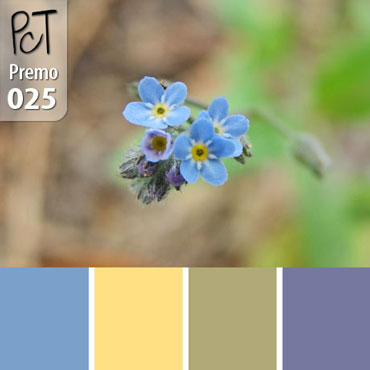 Forget-Me-Not Palette c-025 Premo