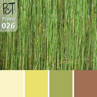 Marsh Reeds Palette c-026 Premo