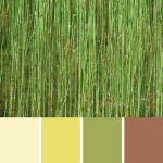 Marsh Reeds Palette c-026 Premo