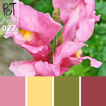Snapdragon Flower Palette c-027 Premo